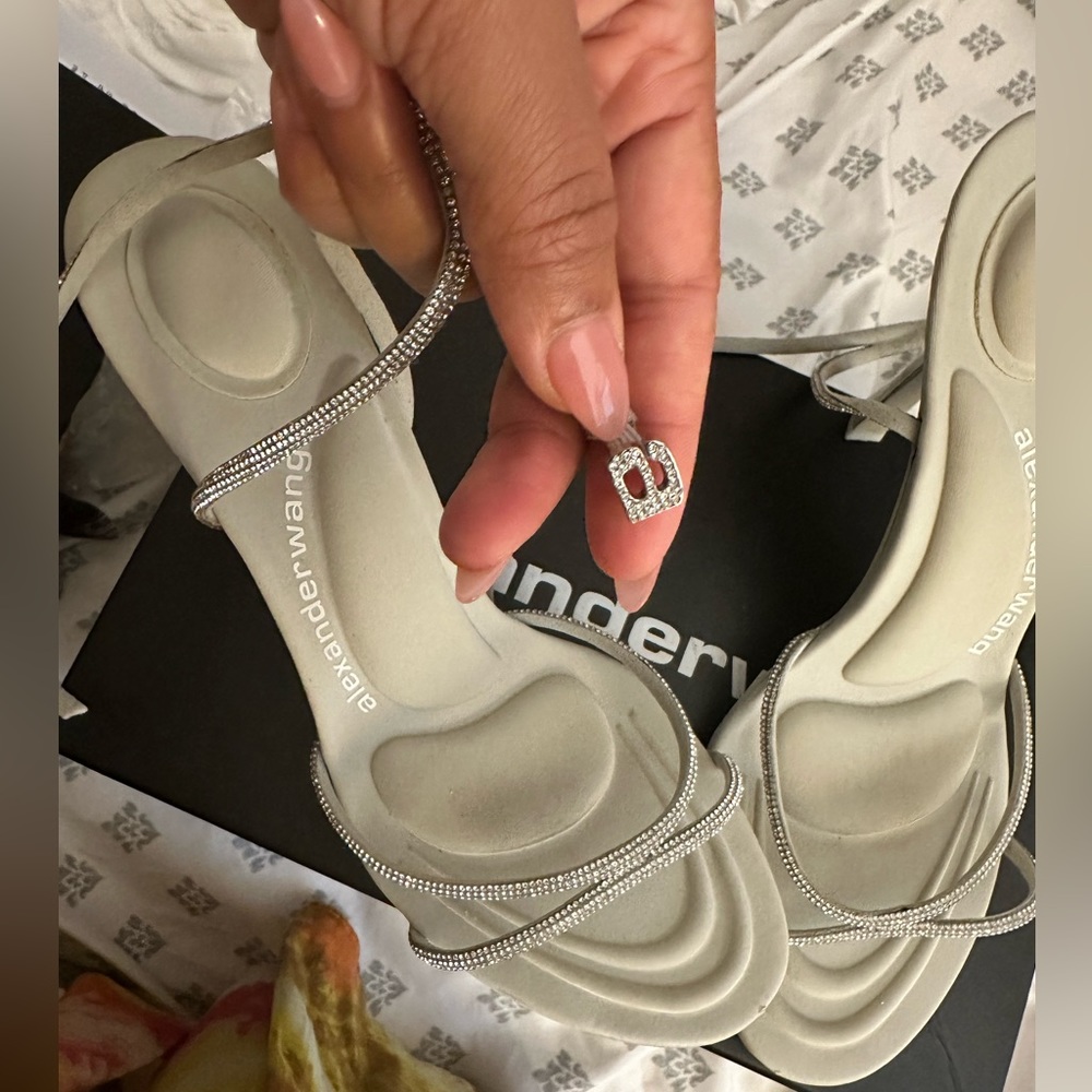 Alexander Wang heels